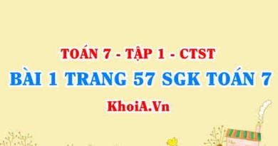 Bài 1 trang 57 SGK Toán 7 chân trời sáng tạo tập 1